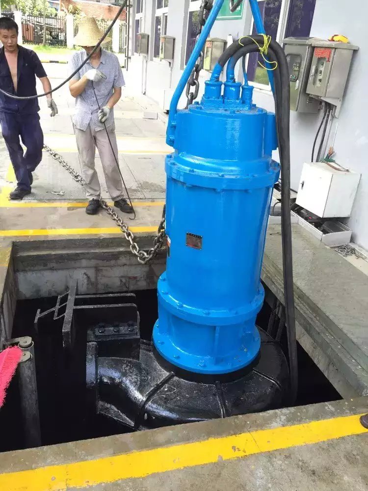南京蓝深wq800-2-10提升泵,蓝深集团立式潜污泵