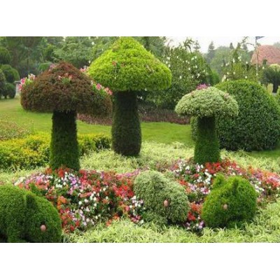 植物编织工艺品