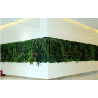 垂直植物墙