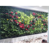 立体植物墙设计
