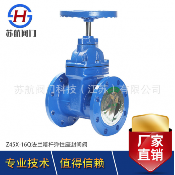 水用球墨铸铁法兰暗杆软密封闸阀