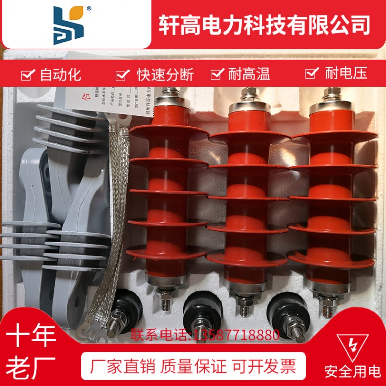 HY5WS-17 50DL GW5户外高压真空断路器批发
