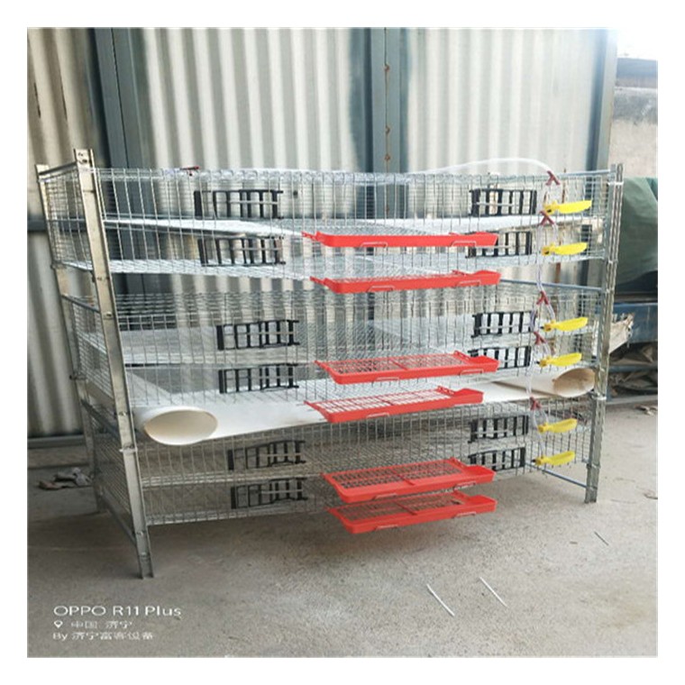 优质梯形鹌鹑养殖笼具供应商