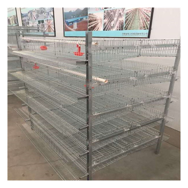 优质全自动鹌鹑笼具供应商
