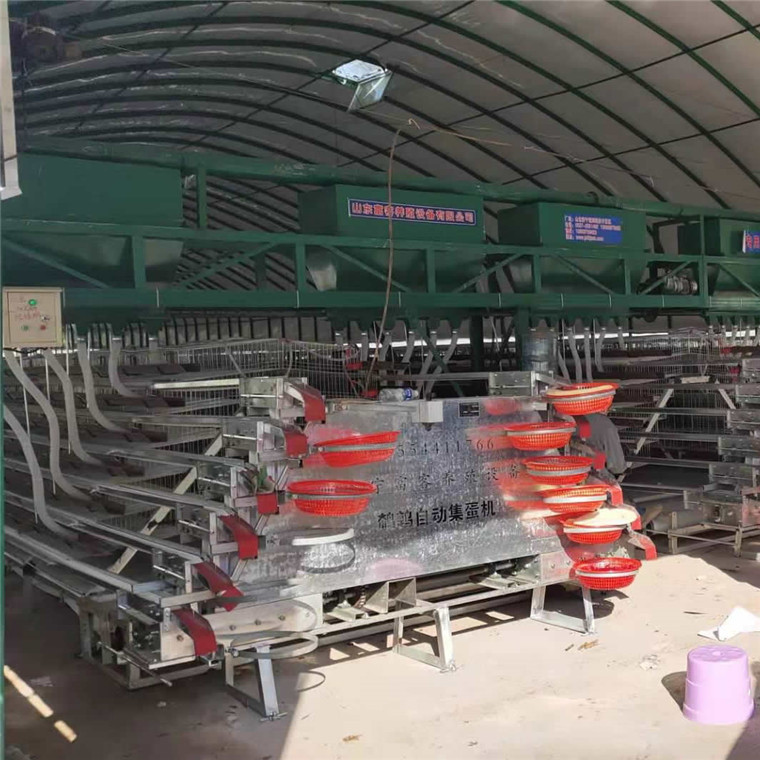 鹌鹑养殖笼具设备
