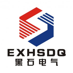浙江黑石電氣有限公司