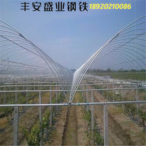 黑龍江帶鋼 黑龍江帶鋼