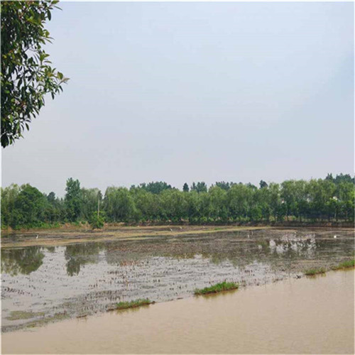 皖西路休闲山庄 皖西路休闲山庄