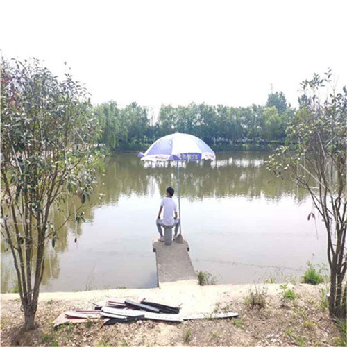 鼓樓街休閑山莊 鼓樓街休閑山莊