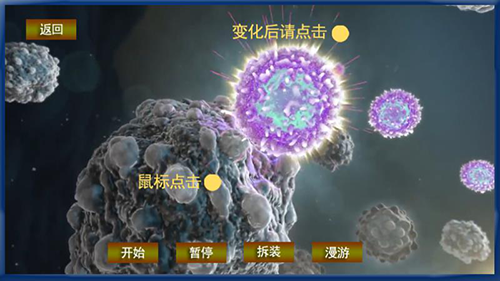 安慶生物科技仿真 安慶生物科技仿真