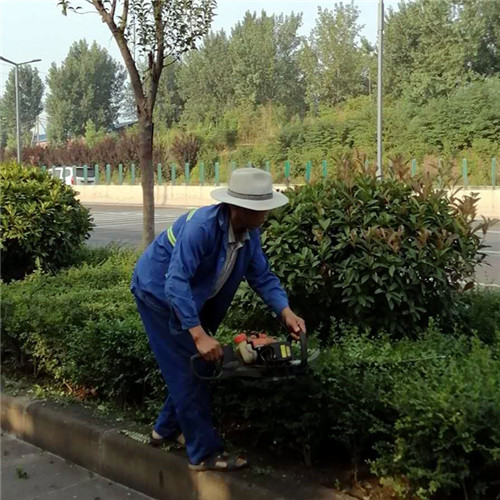 伊濱區花園修剪 伊濱區花園修剪