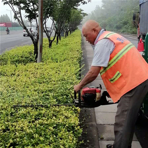 洛陽洛龍區公園維護 洛陽洛龍區公園維護