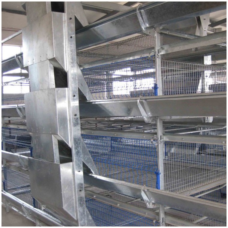 牧童养厂家定制肉鸡笼，批发层叠式肉鸡笼
